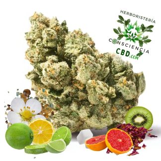 Flores de CBD Amnesia Indoor con 27% de CBD en Consciencia CBD