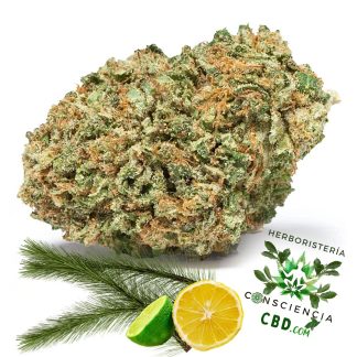 Flores CBD Fire OG Indoor con 25% de CBD en Consciencia CBD