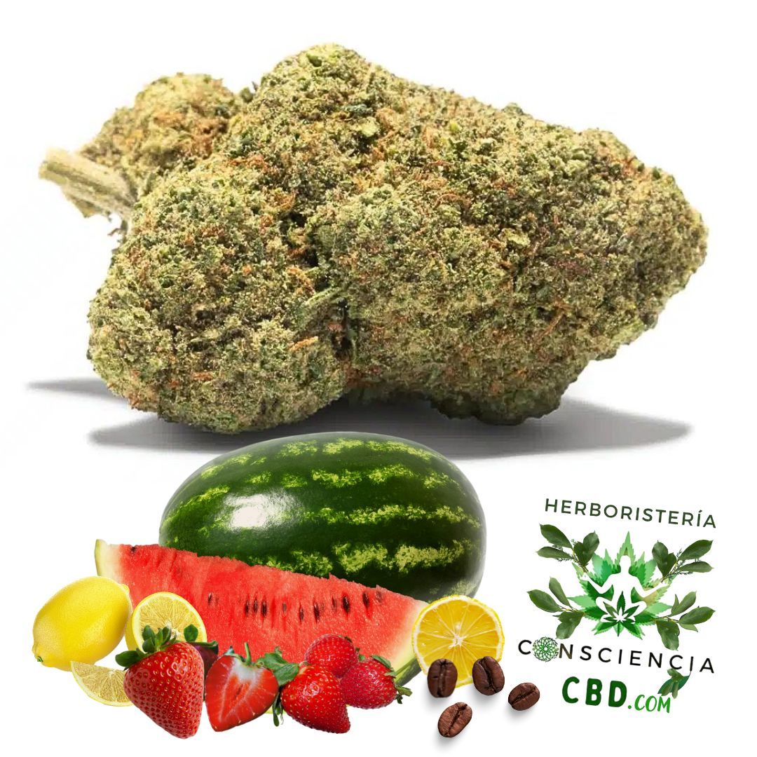 Flores de CBD Strawberry Watermelon con aroma a fresa y sandía en Consciencia CBD