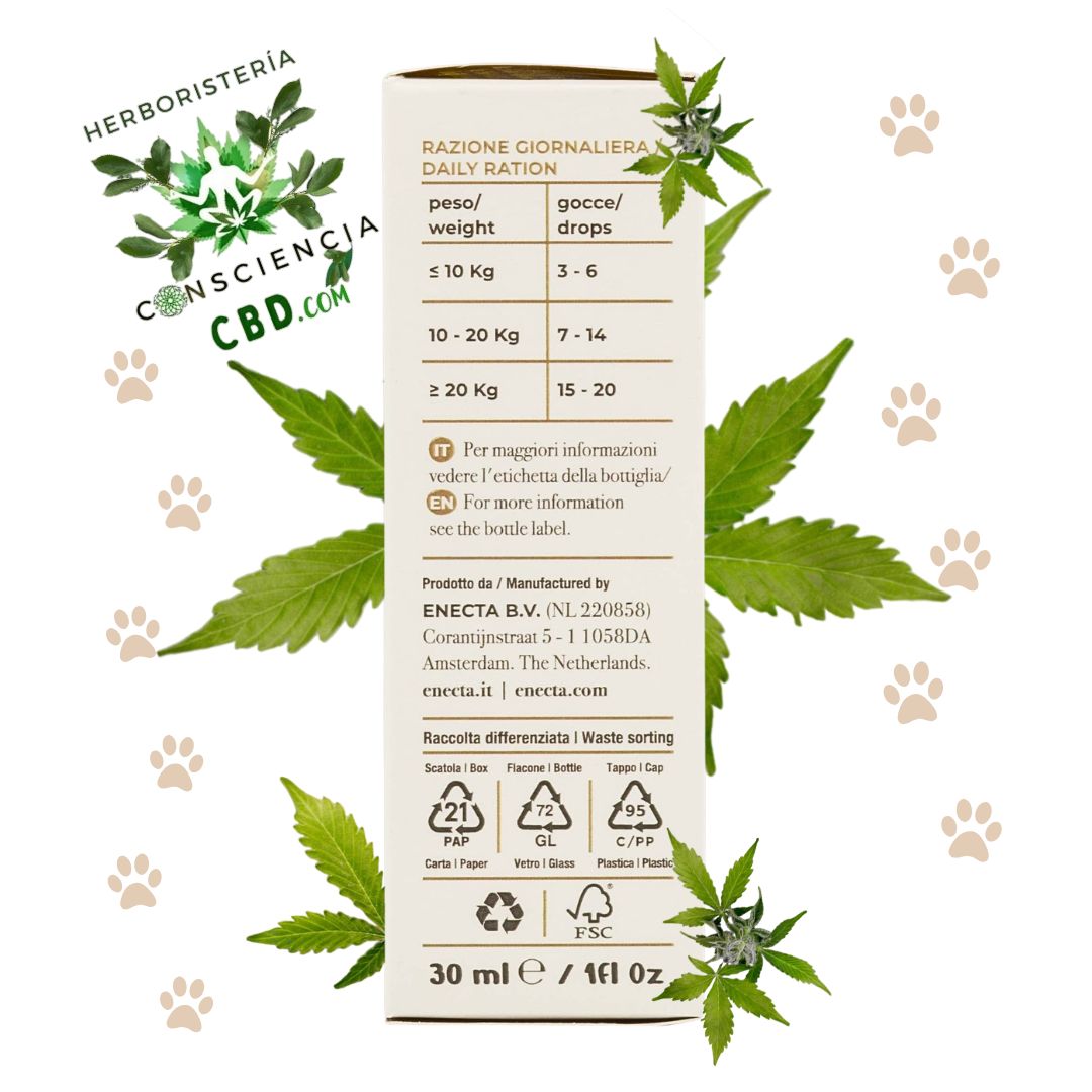 El Uso del Aceite CBD para Mascotas de Full Spectrum